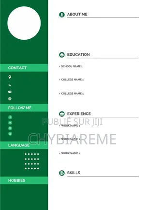Conception De Cv Professionnels