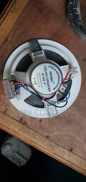 Baffle a Fixé Sur Plafond Fonctionne