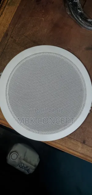 Baffle a Fixé Sur Plafond Fonctionne