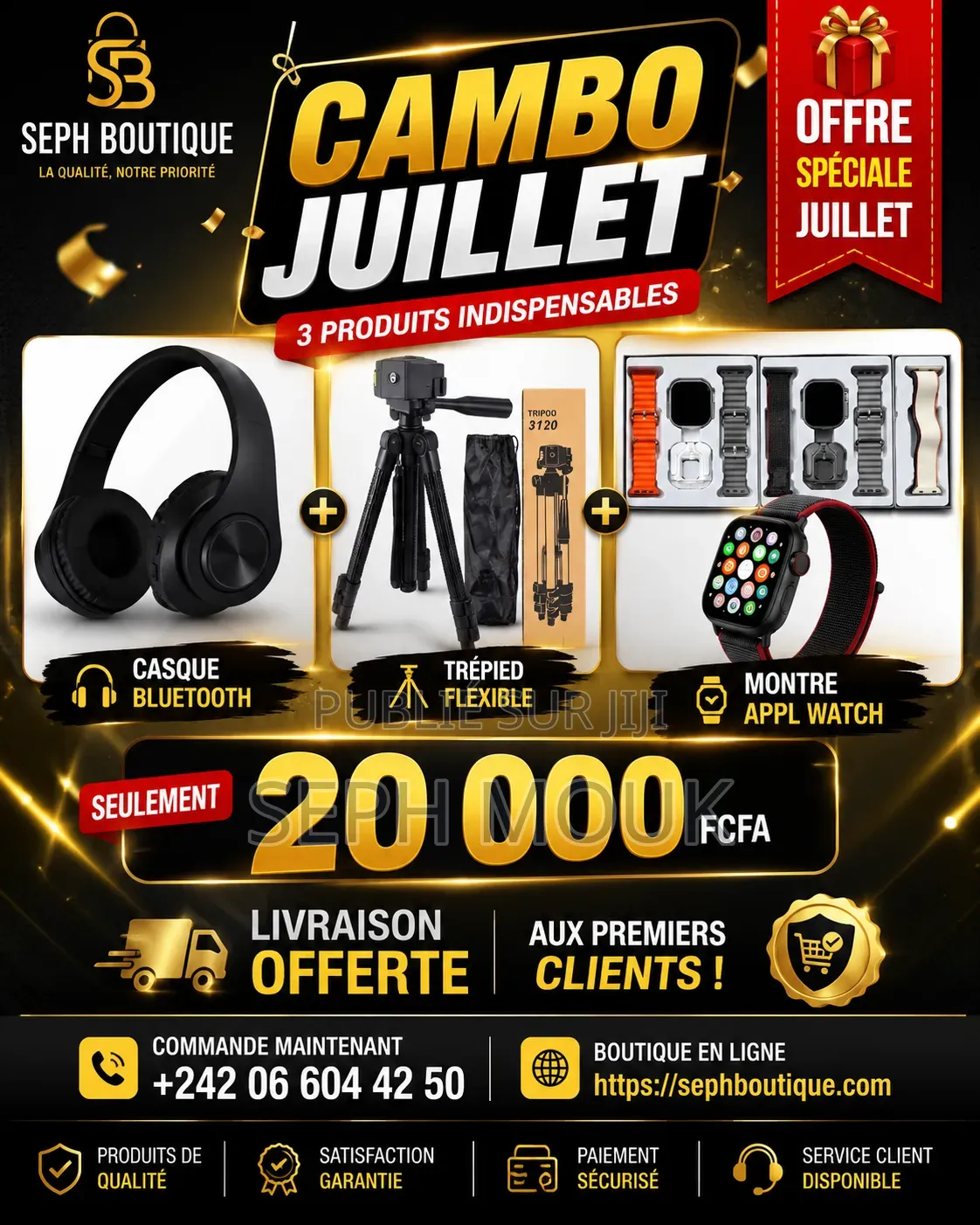 Accessoires Électriques