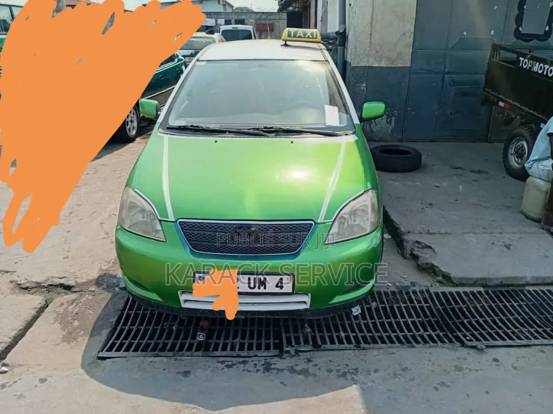 DR DR5 2018 Vert