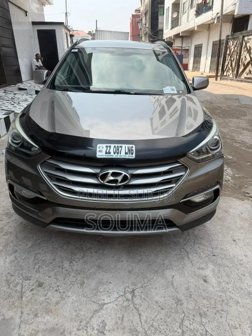 Hyundai Santa Fe 2016 Doré