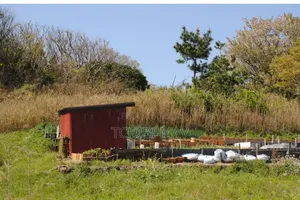 Une Parcelle À Vendre
