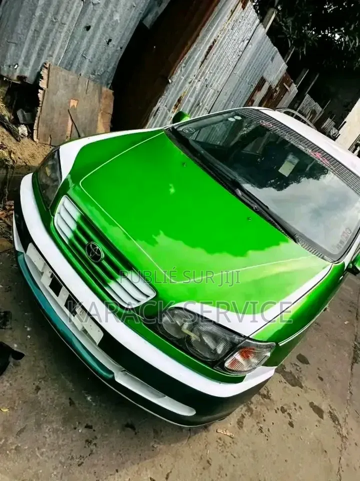 Toyota Picnic 2024 Vert