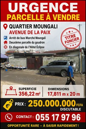 Parcelle À Vendre À Moungali Deuxième Parcelle Du Goudron 356,22m2