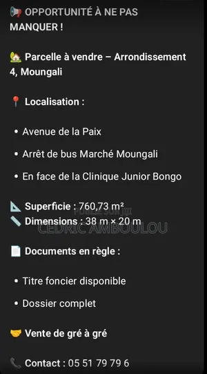 Parcelles Jumelé À Vendre Dans Moungali Avec Une Superficie De 800m2