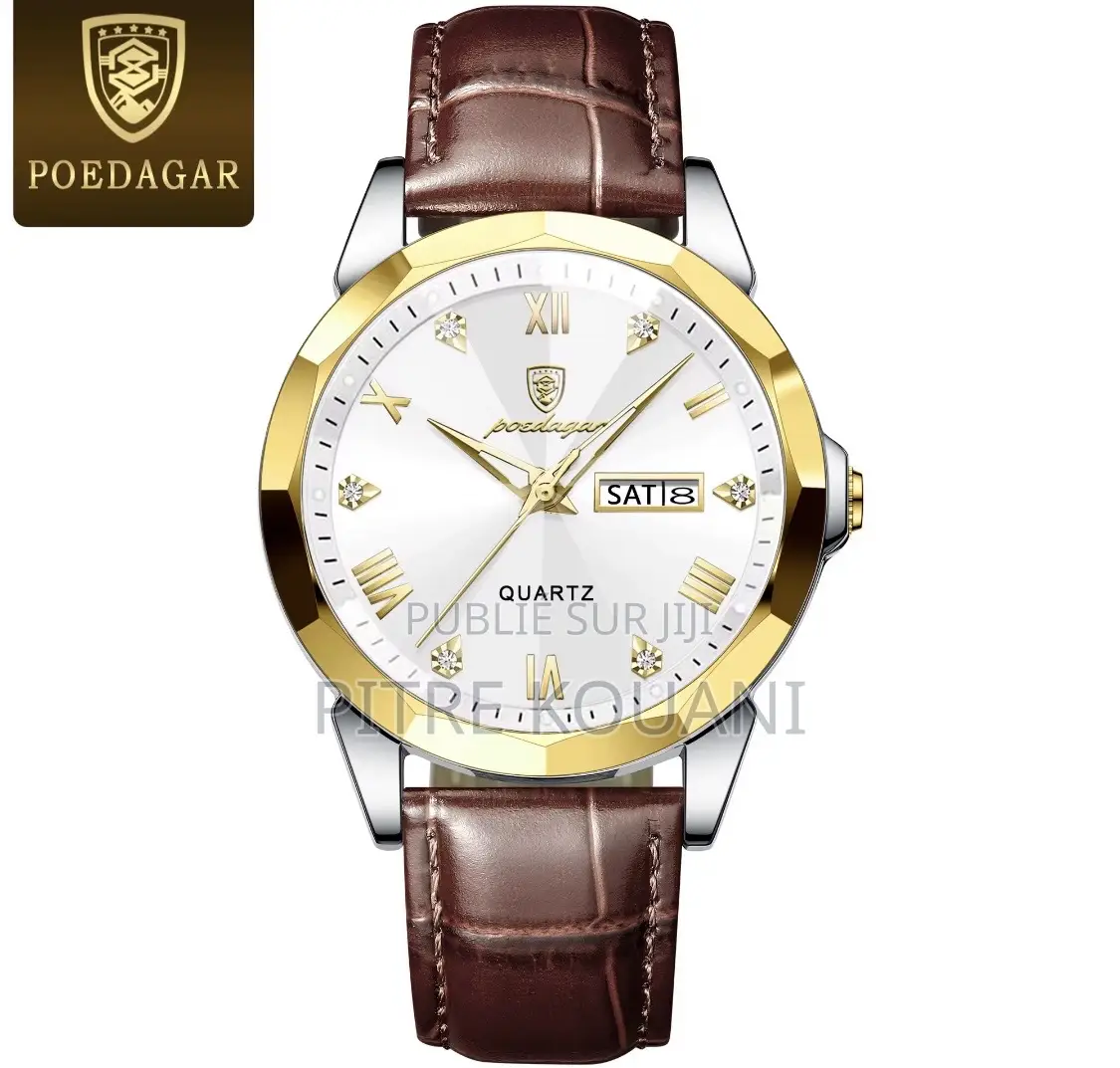 Montre Luxueuse
