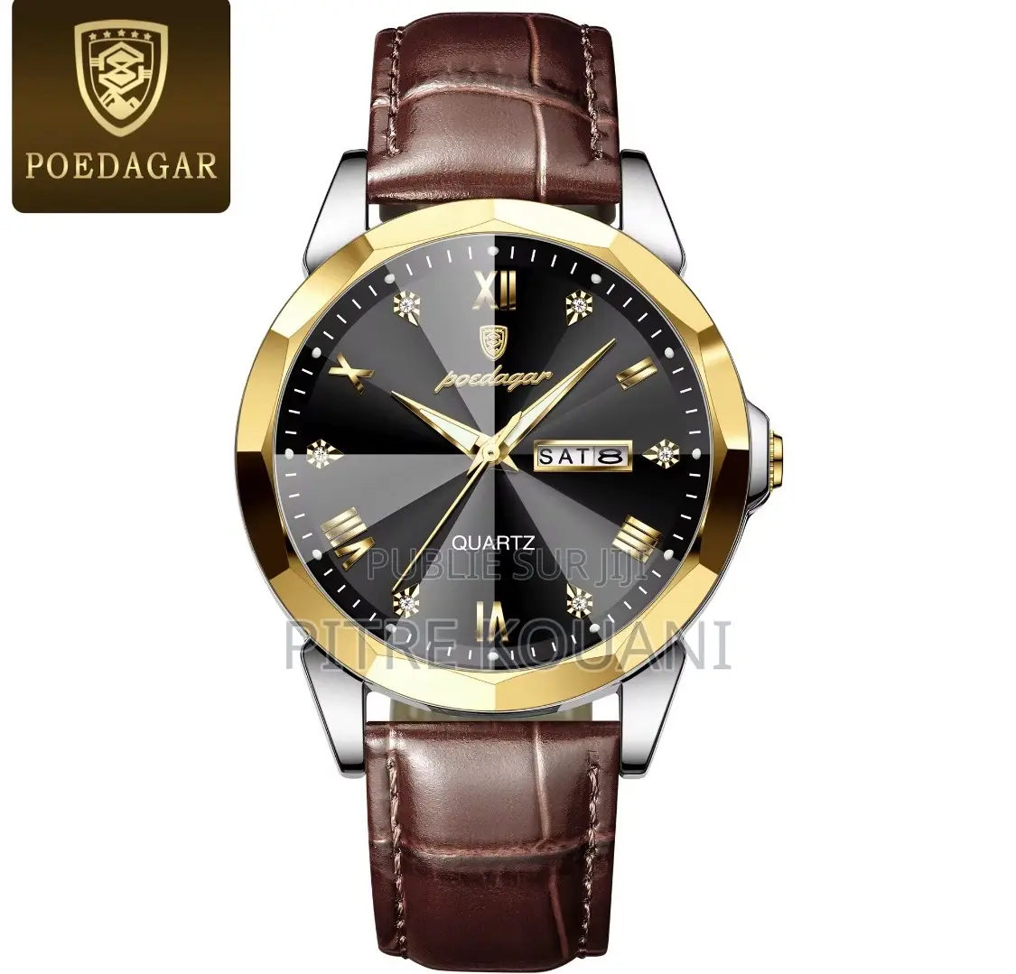 Montre Luxueuse