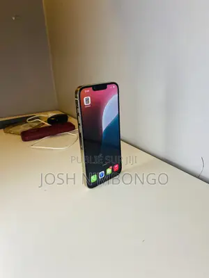Apple iPhone 13 Pro Max 256 GB Gris