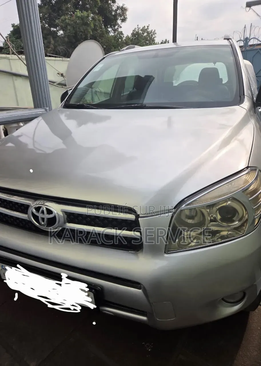 Toyota RAV4 2017 Gris