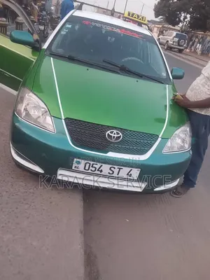 DR DR5 2019 Vert