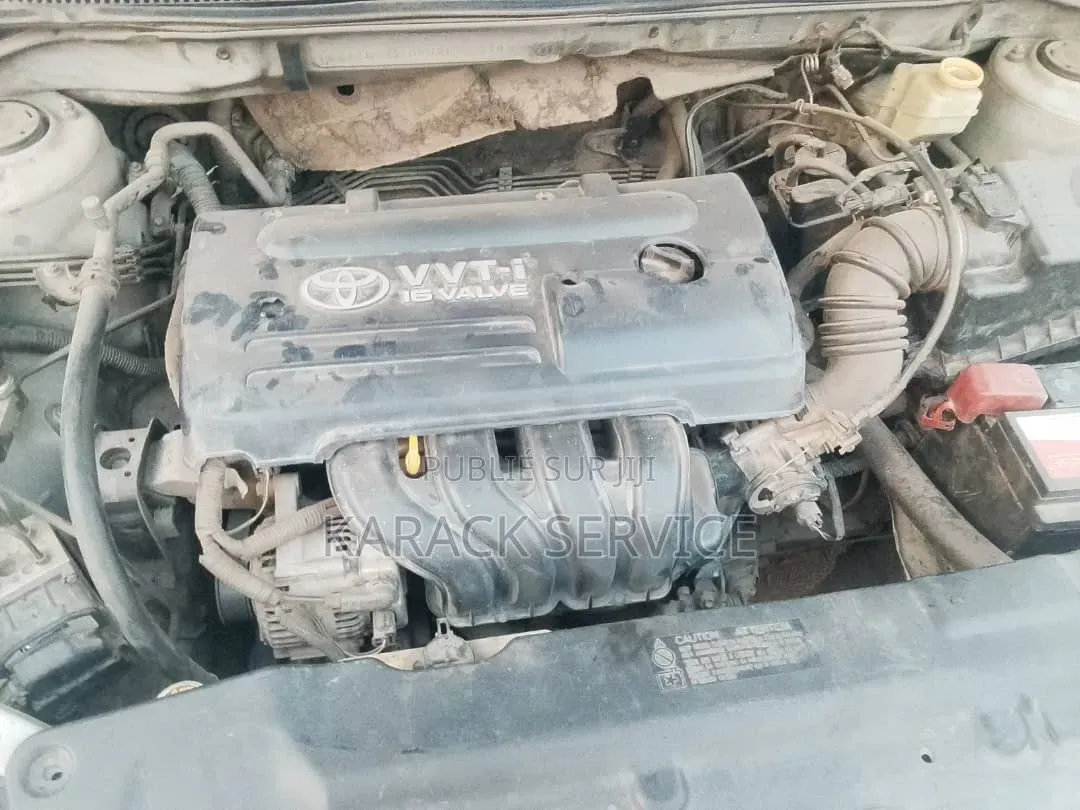 DR DR5 2019 Vert