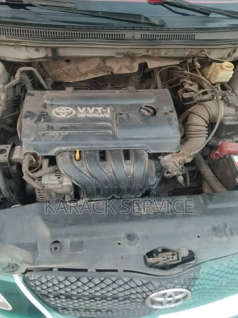 DR DR5 2019 Vert
