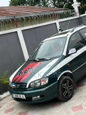 Toyota Picnic 2022 Vert