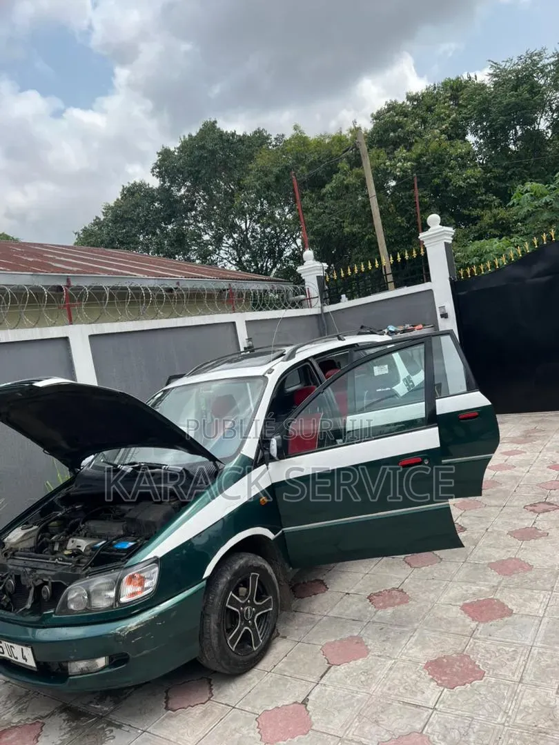 Toyota Picnic 2022 Vert