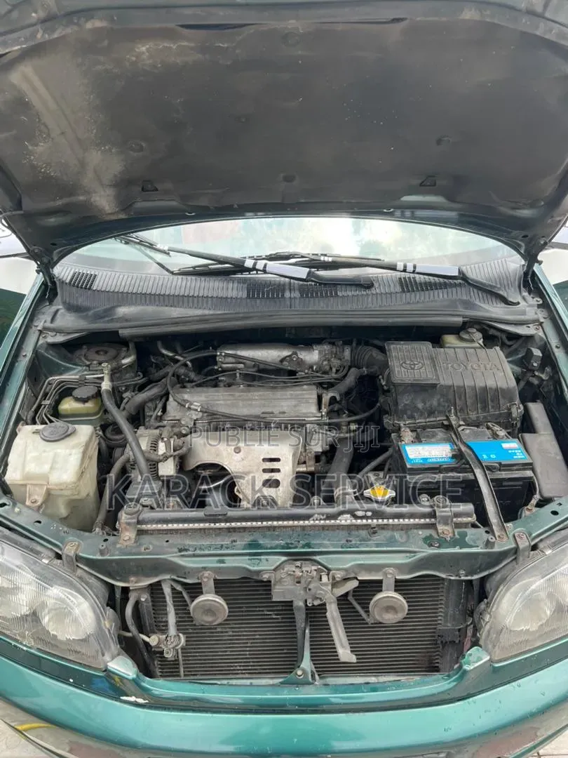 Toyota Picnic 2022 Vert