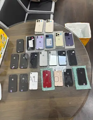 Apple iPhone 13 Pro Max 256 GB Autre