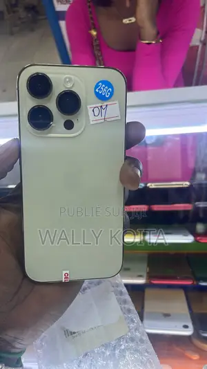 Apple iPhone 13 Pro Max 256 GB Autre
