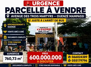 Parcelle À Vendre Dans Ouenzé Mampassi 760,73m2 (40/20)