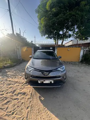 Toyota RAV4 LE AWD (2.5L 4cyl 6A) 2017 Marron