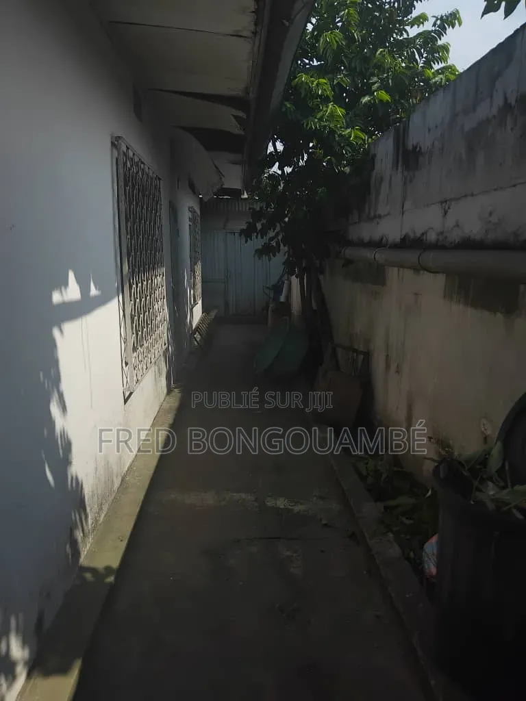 Parcelle À Vendre A Bacongo Mpissa
