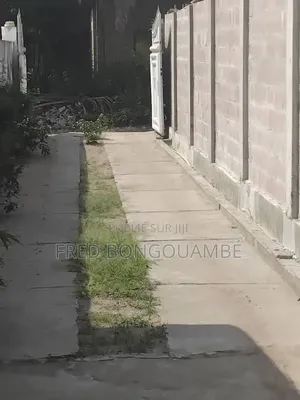 Parcelle À Vendre A Bacongo Mpissa