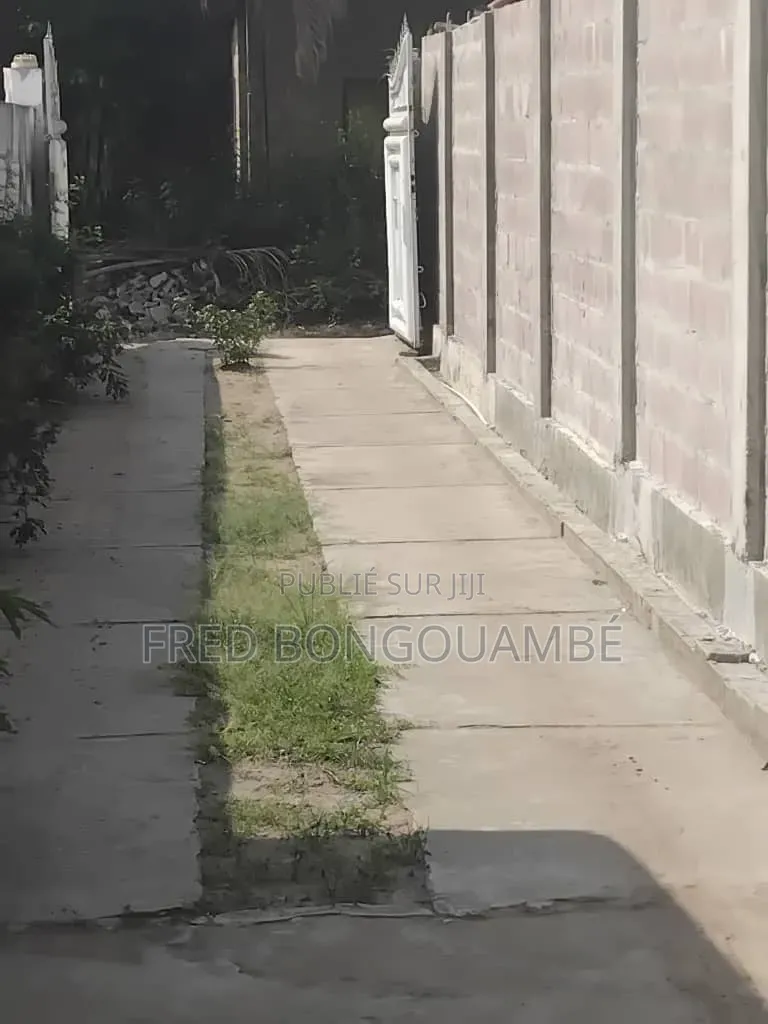 Parcelle À Vendre A Bacongo Mpissa