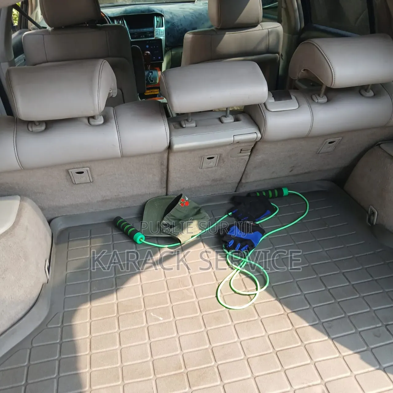 Lexus RX 2019 Gris