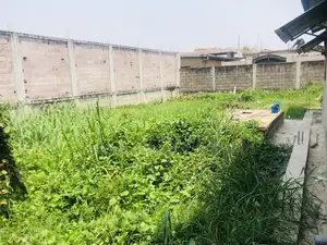 Terrain Vide Entouré À Vendre À Talangaï(Derrière Ex Kronenbourg)