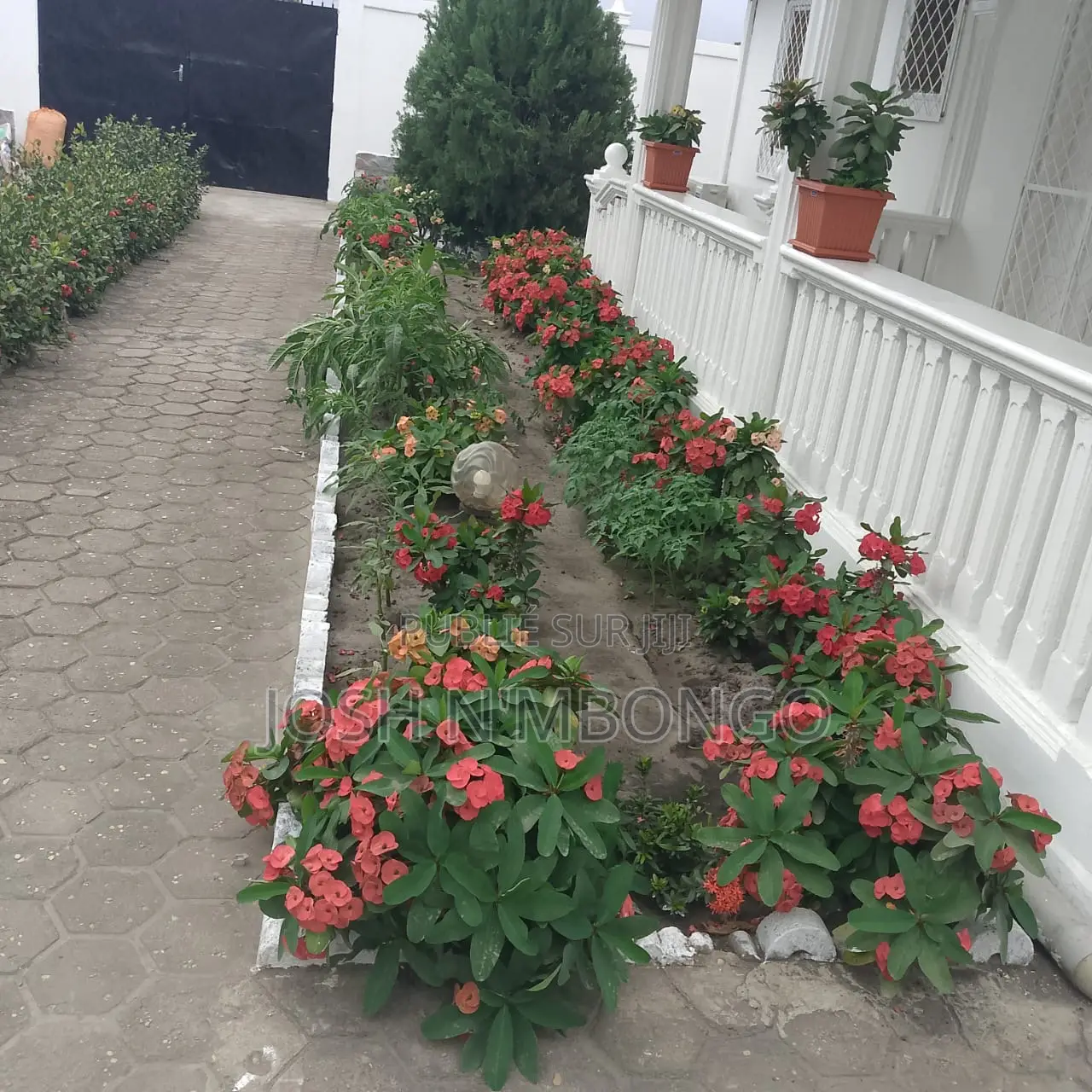 4chbre Appartement dans Ngoyo à Vendre