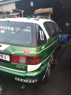 Toyota Picnic 2019 Vert