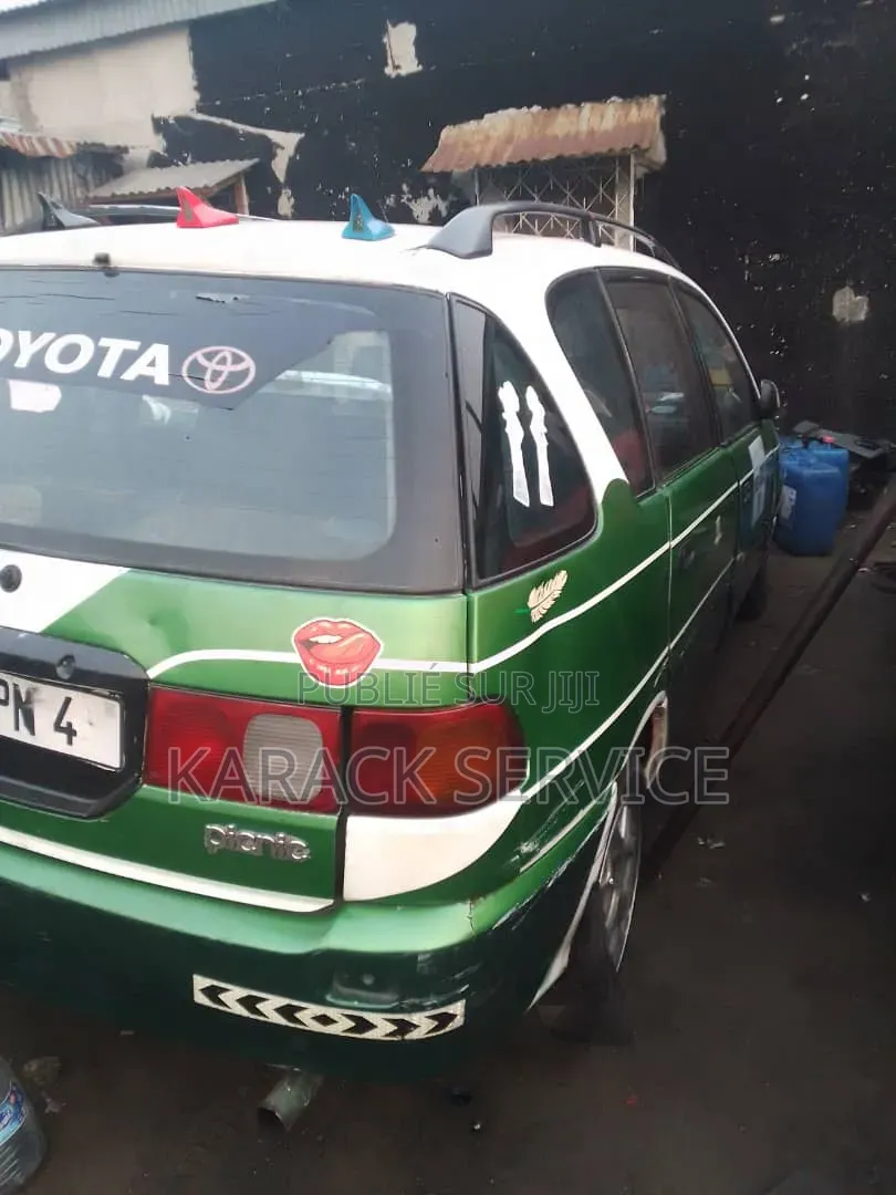 Toyota Picnic 2019 Vert