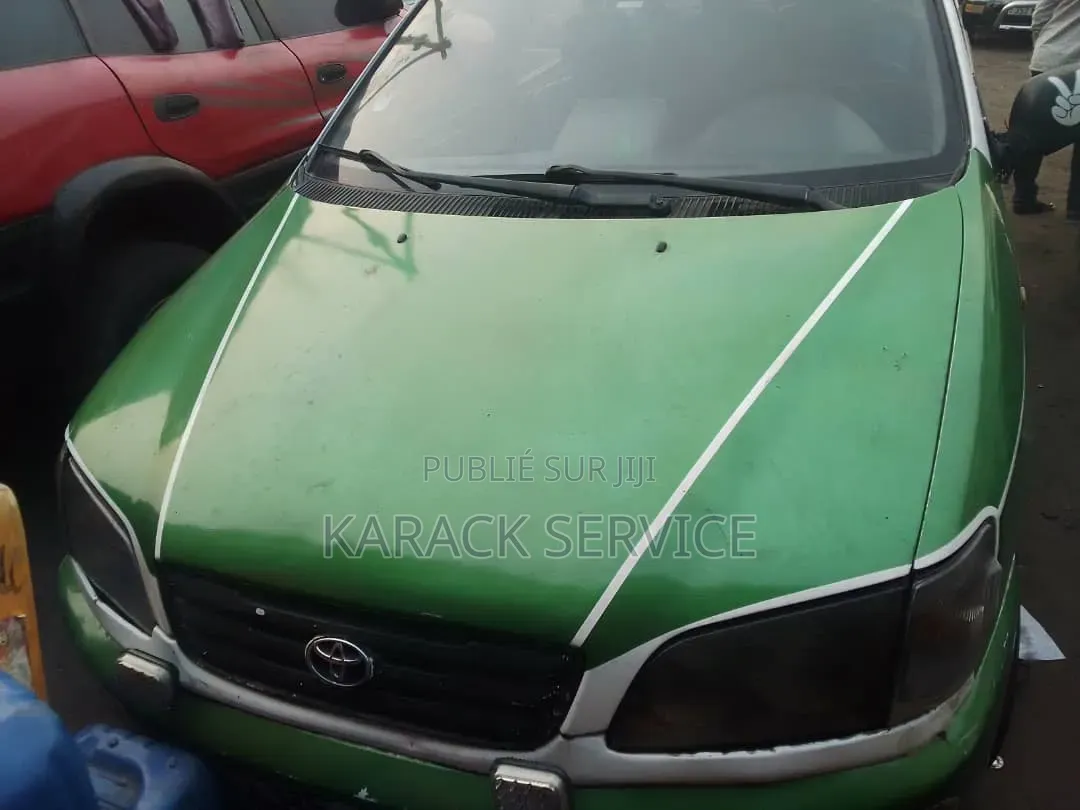 Toyota Picnic 2019 Vert