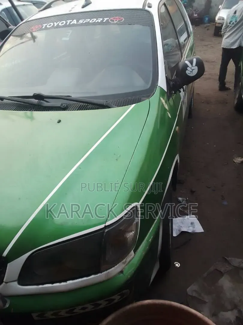 Toyota Picnic 2019 Vert