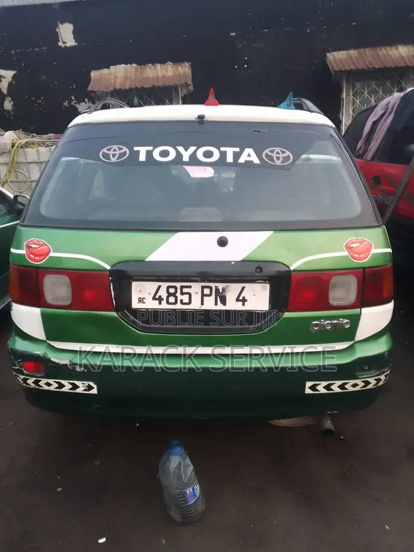 Toyota Picnic 2019 Vert