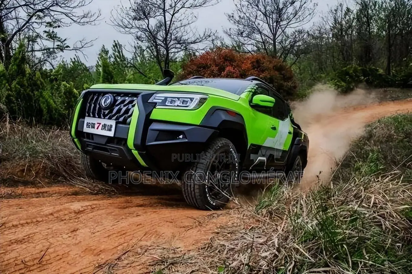 Dongfeng Rich 7 2023 Vert
