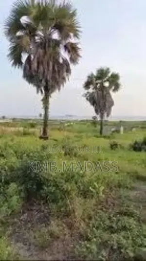 Parcelle À Vendre Au Bord De La Côte Sauvage