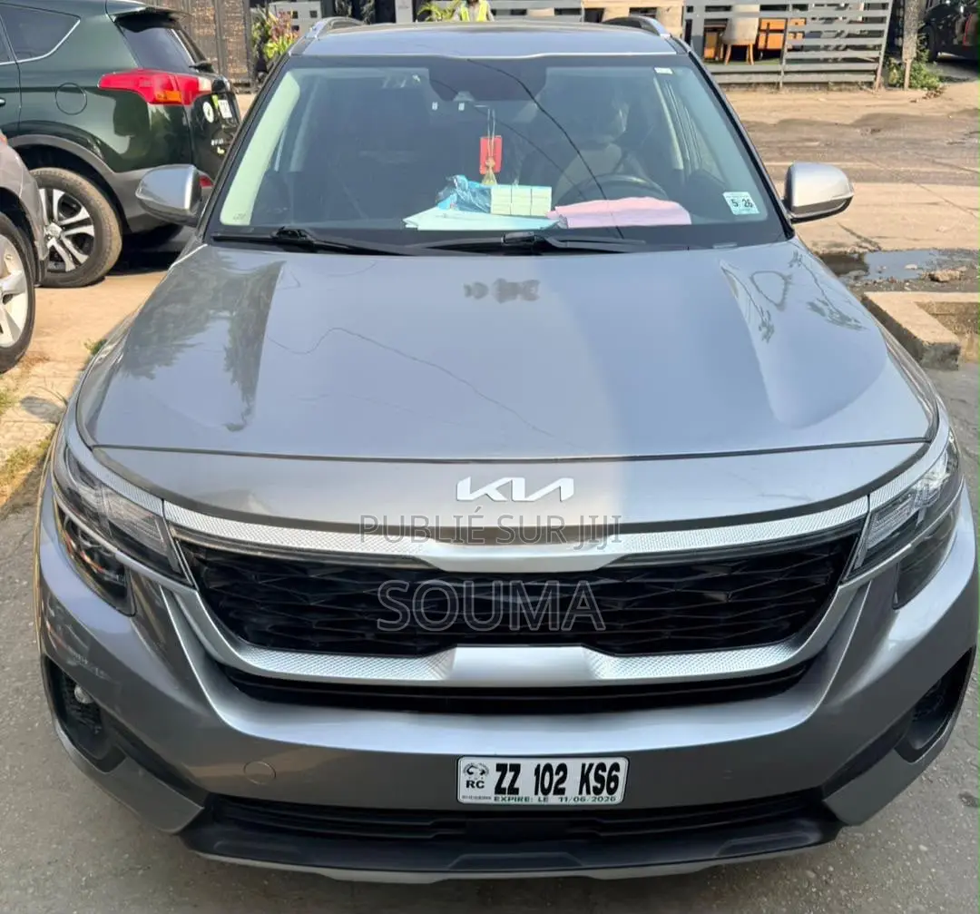 Kia Seltos S 2022 Gris