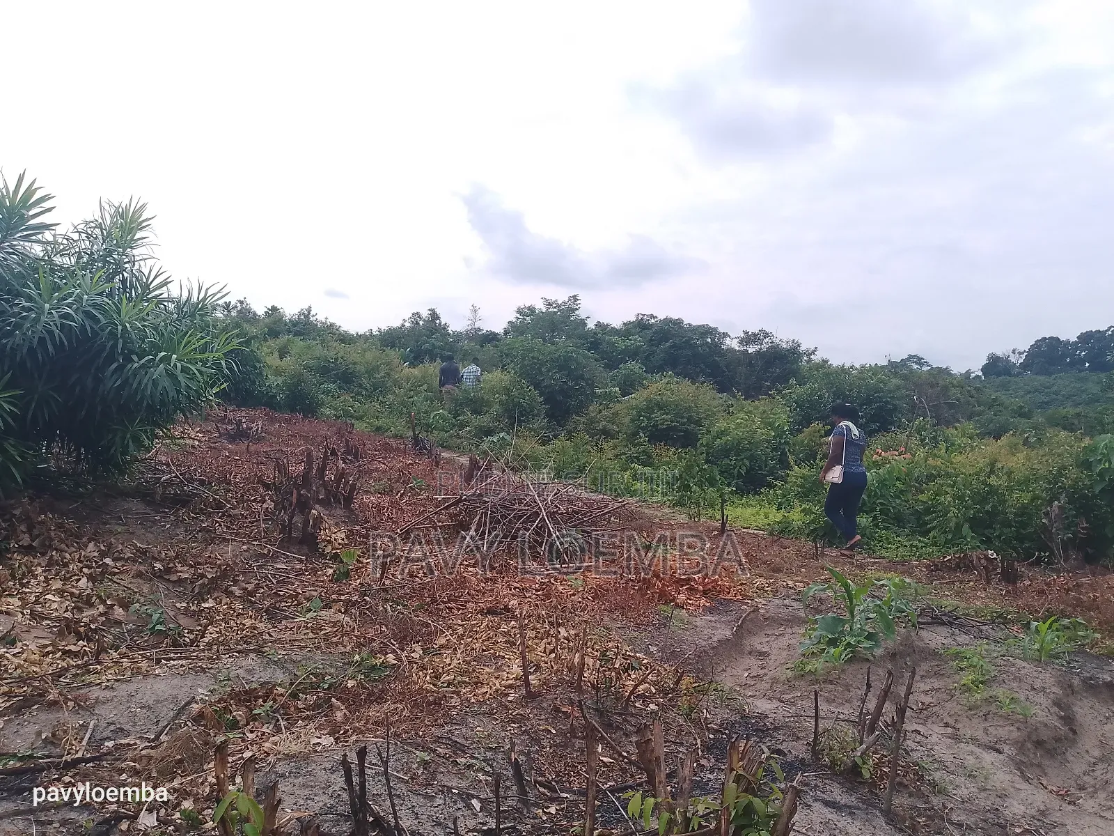 Terrain Vide À Vendre