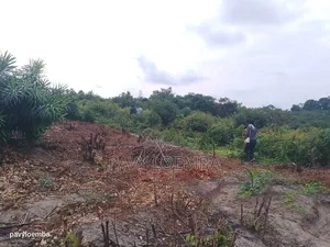 Terrain Vide À Vendre