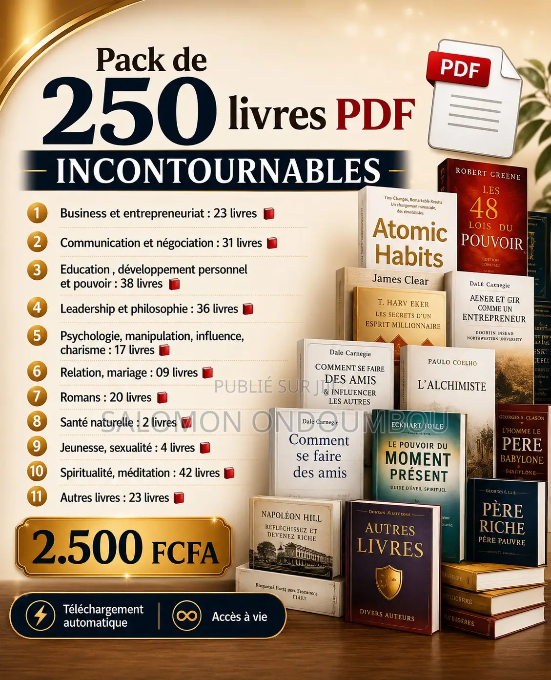 Livre en PDF