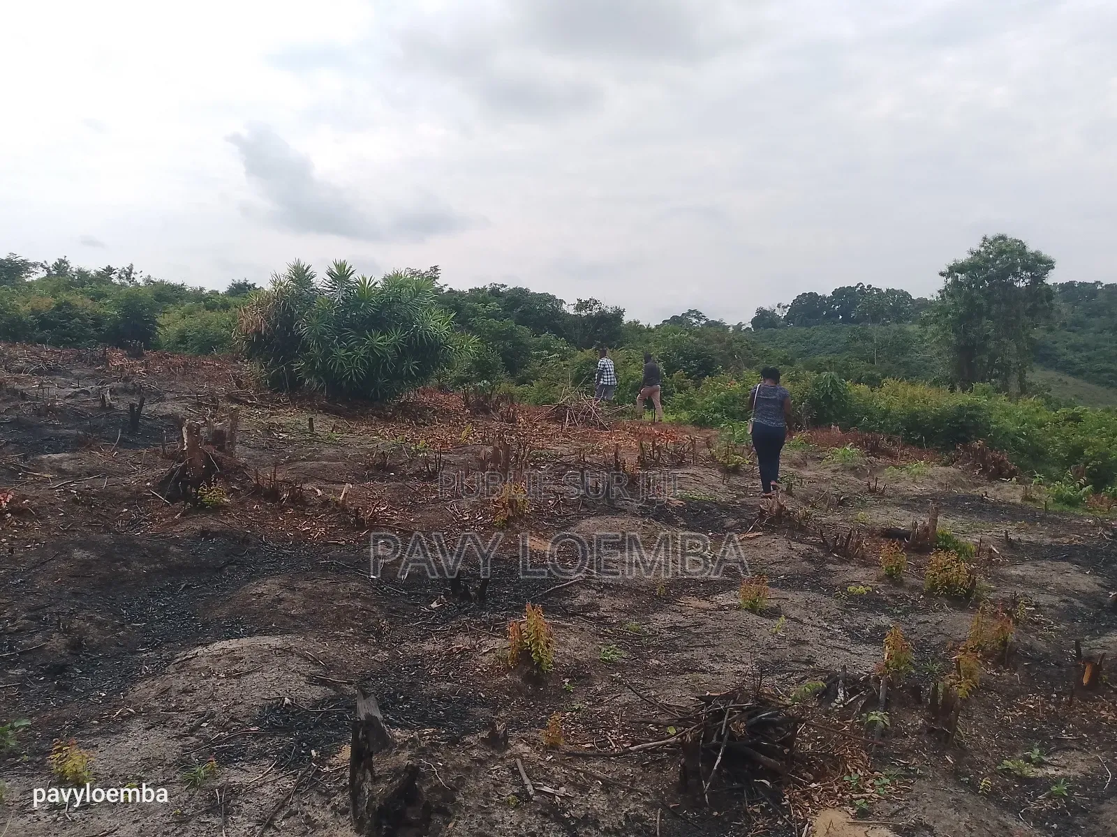Terrain Vide À Vendre