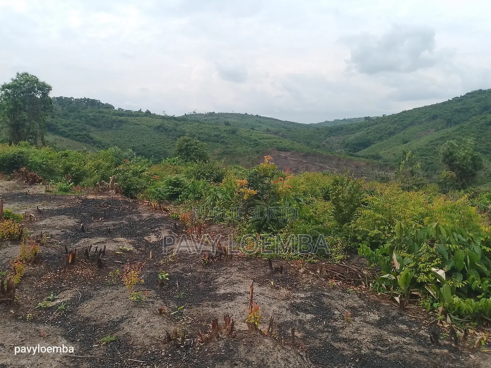 Terrain Vide À Vendre