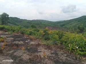 Terrain Vide À Vendre