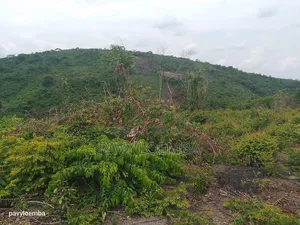 Terrain Vide À Vendre