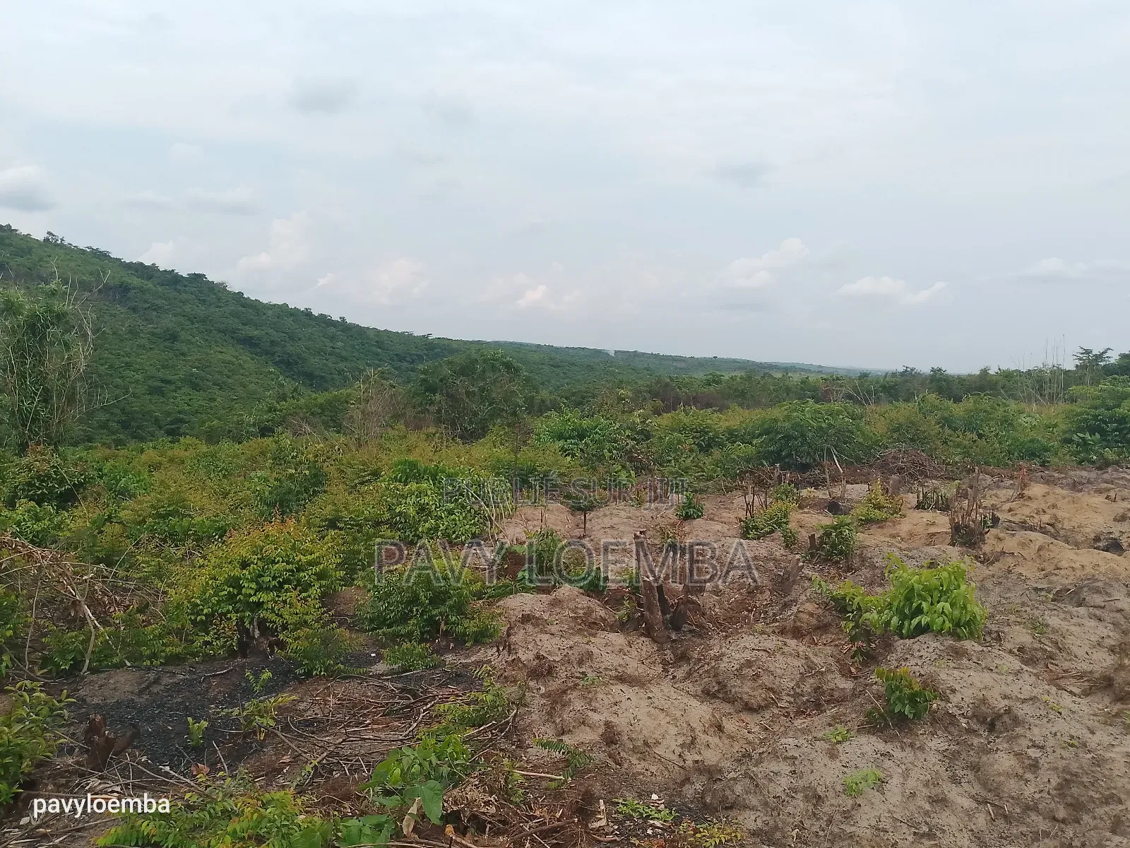 Terrain Vide À Vendre