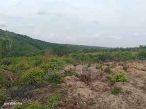 Terrain Vide À Vendre