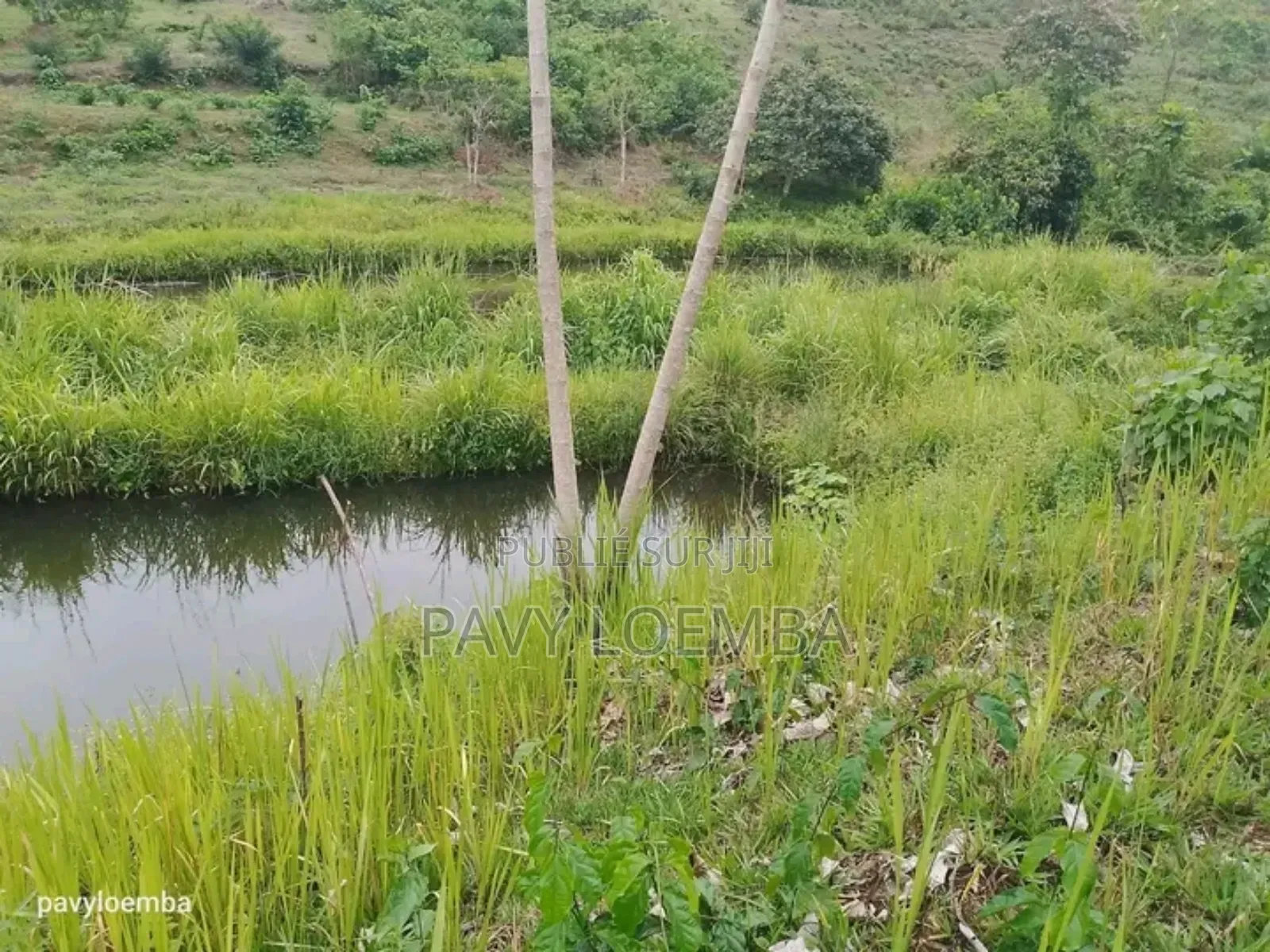 Terrain Vide À Vendre Avec Étant