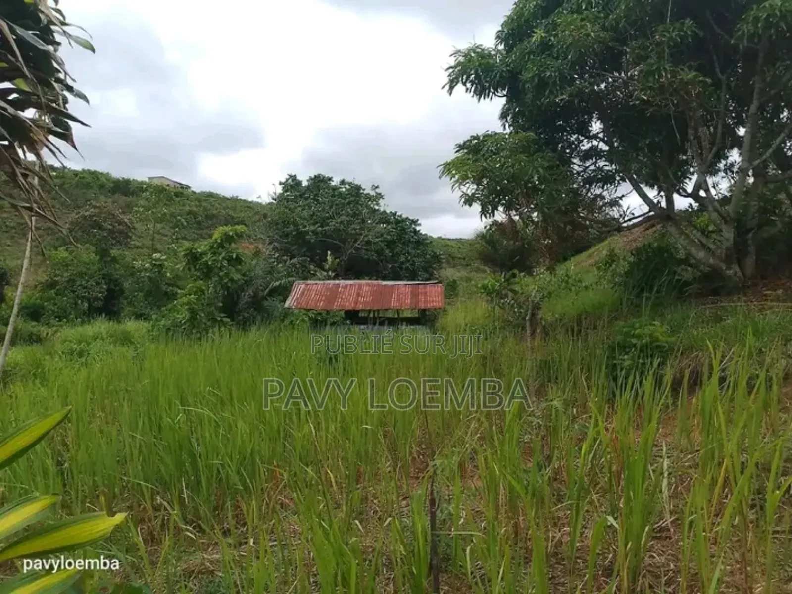 Terrain Vide À Vendre Avec Étant