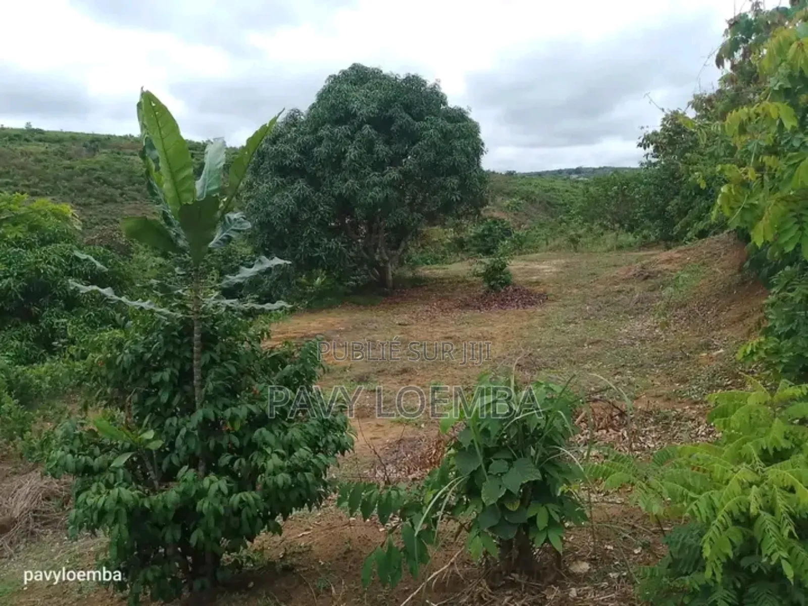 Terrain Vide À Vendre Avec Étant